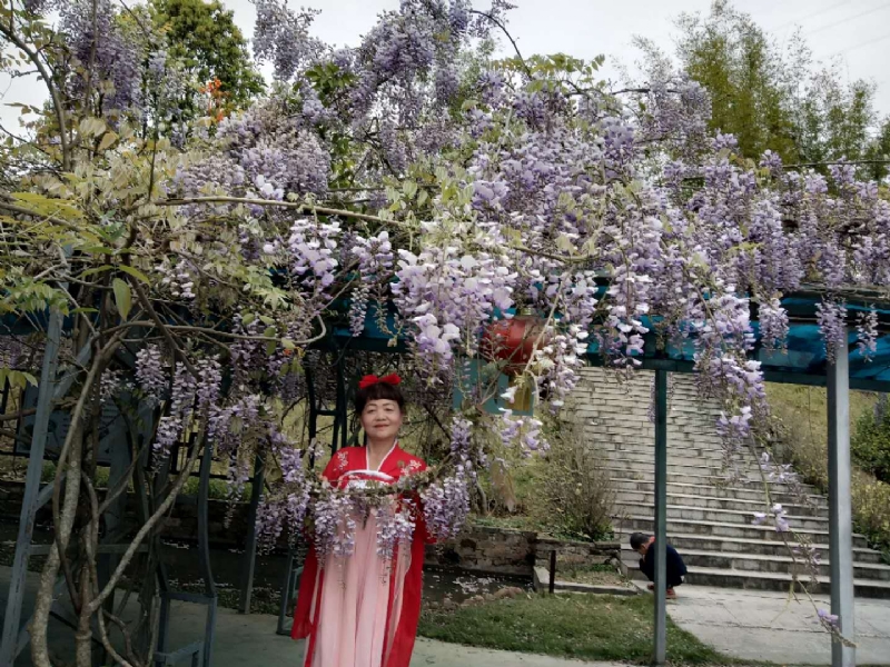莉莉的第一张照片--莆田相亲服务中心