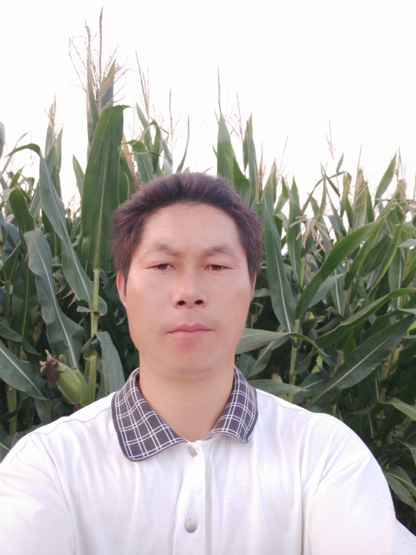 四海游龙的第二张照片--莆田相亲服务中心