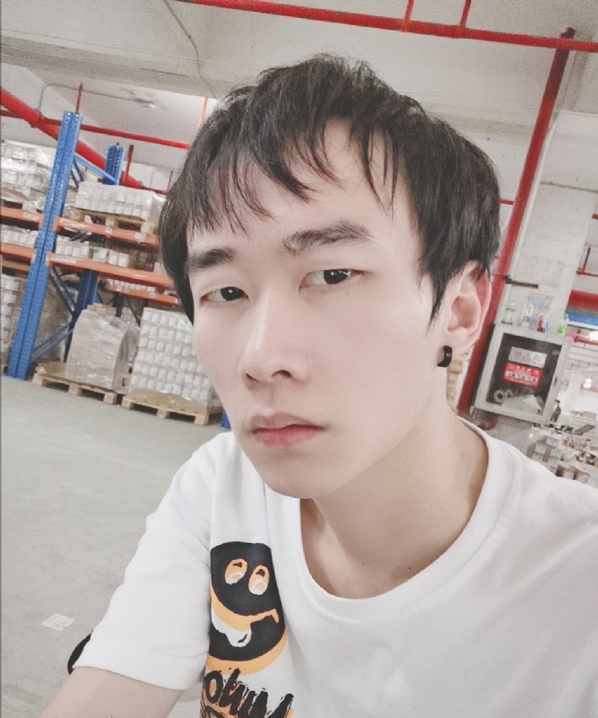 巷子里的猫的第一张照片--莆田相亲服务中心
