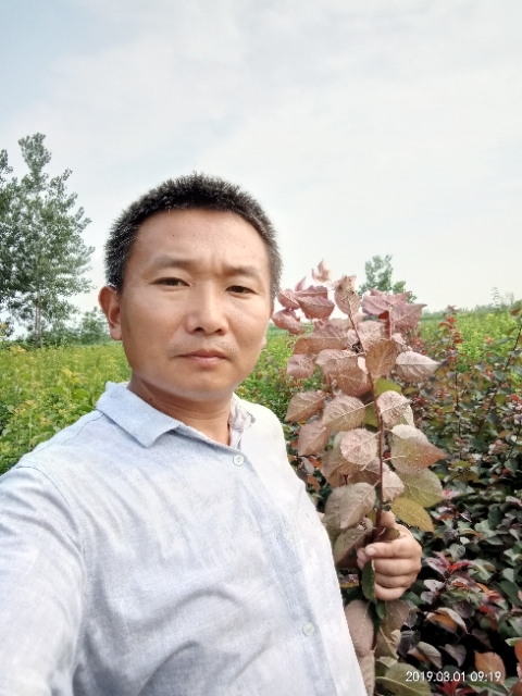 孩子爸的第二张照片--莆田相亲服务中心