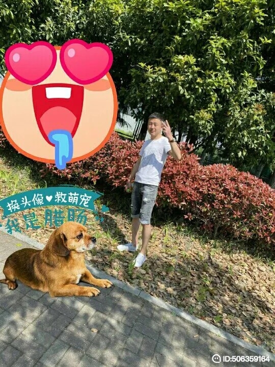 我若不坚强谁替我勇敢的第五张照片--莆田相亲服务中心