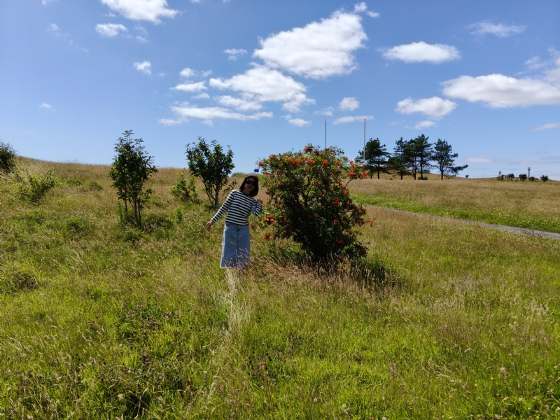秋蝉的第一张照片--莆田相亲服务中心