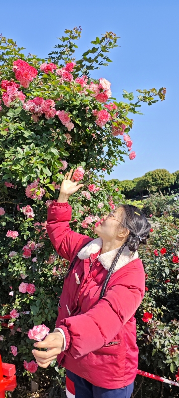 狗狗的第一张照片--莆田相亲服务中心